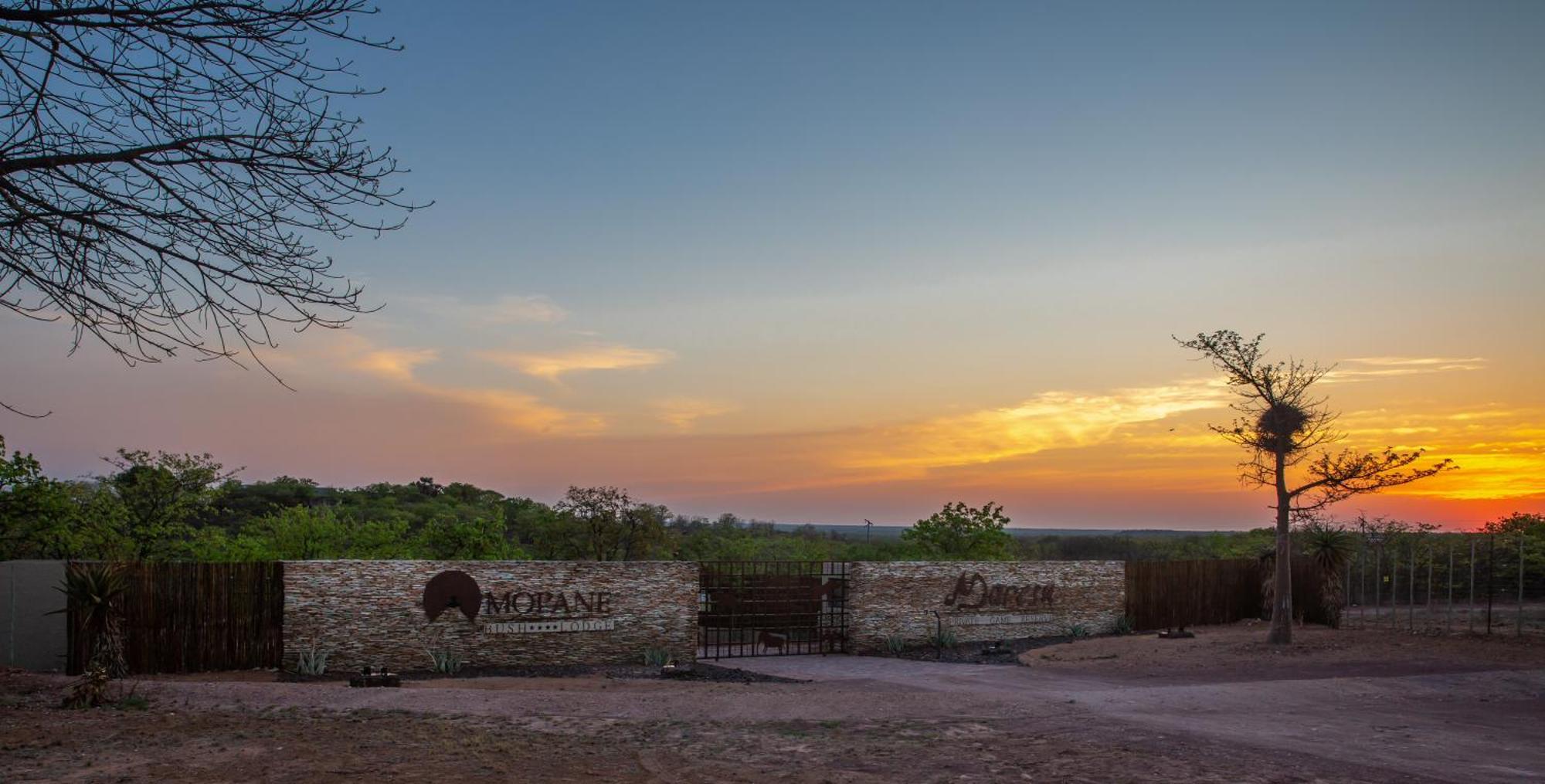 Mopane Bush Lodge Linton Exteriér fotografie