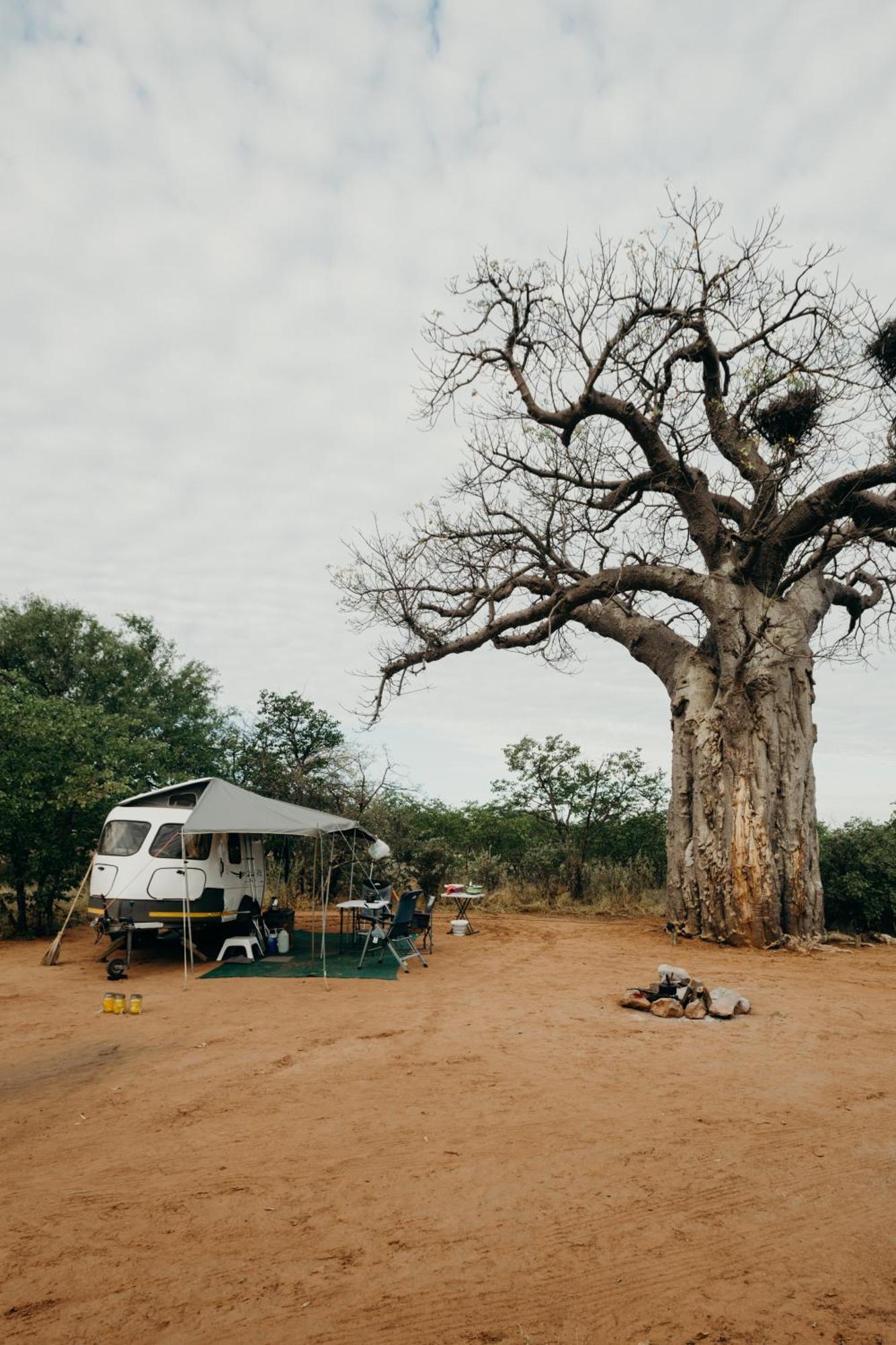 Mopane Bush Lodge Linton Exteriér fotografie