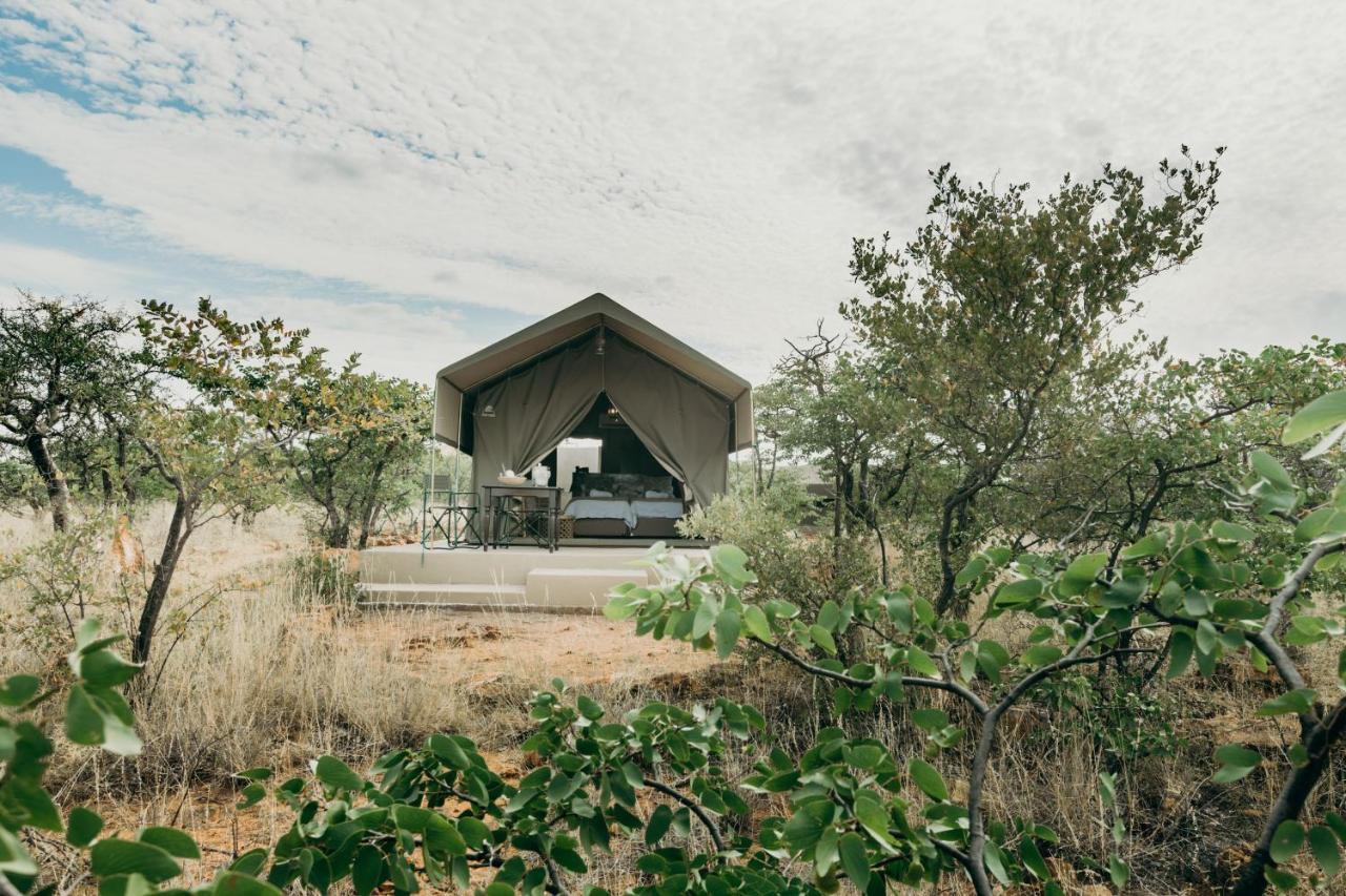 Mopane Bush Lodge Linton Exteriér fotografie